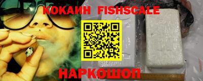 тгк Дмитров