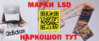 тгк Дмитров
