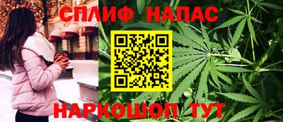 тгк Дмитров