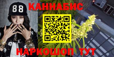 МДПВ Долгопрудный