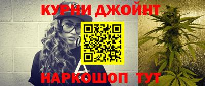 тгк Дмитров